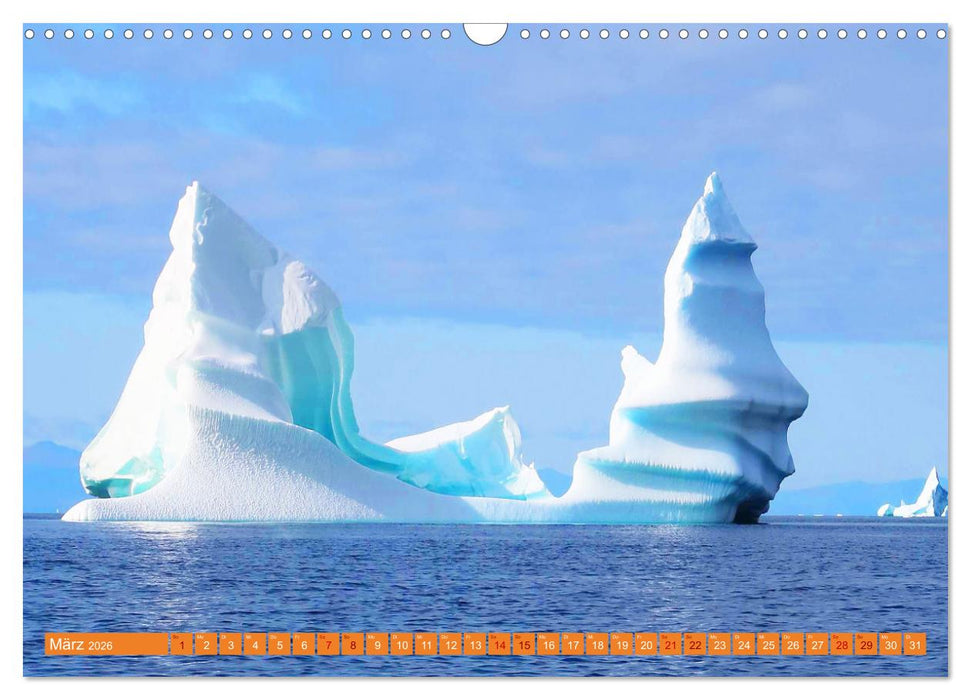 Arktis und Antarktis - Eisig durch das Jahr (CALVENDO Wandkalender 2026)
