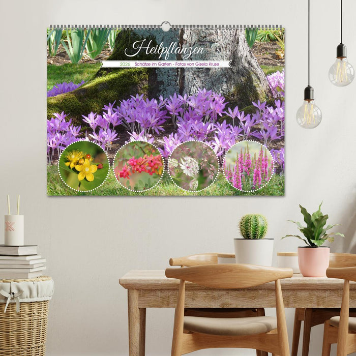 Heilpflanzen - Schätze im Garten (CALVENDO Wandkalender 2026)