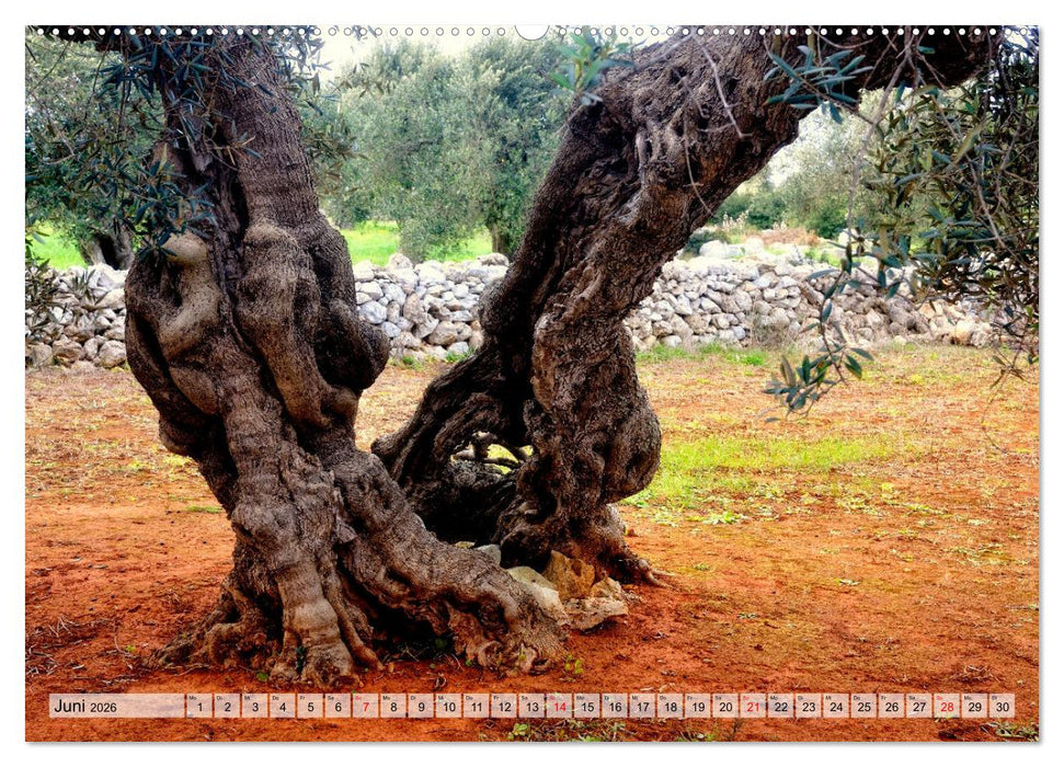 il Salento Kulturlandschaft zwischen zwei Meeren (CALVENDO Premium Wandkalender 2026)