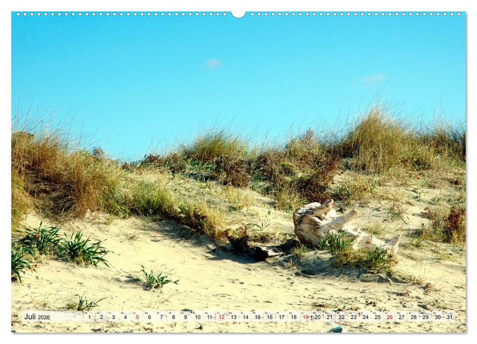 il Salento Kulturlandschaft zwischen zwei Meeren (CALVENDO Premium Wandkalender 2026)