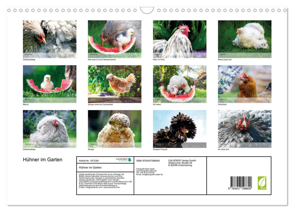 Hühner im Garten (CALVENDO Wandkalender 2026)