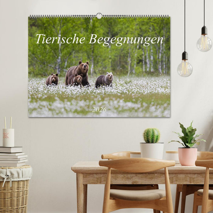Tierische Begegnungen (CALVENDO Wandkalender 2026)