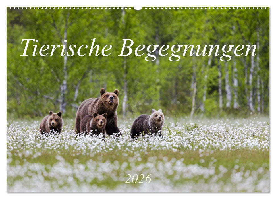 Tierische Begegnungen (CALVENDO Wandkalender 2026)