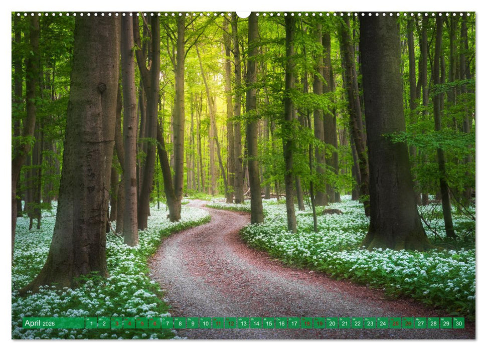 Stille Naturmomente (CALVENDO Wandkalender 2026)