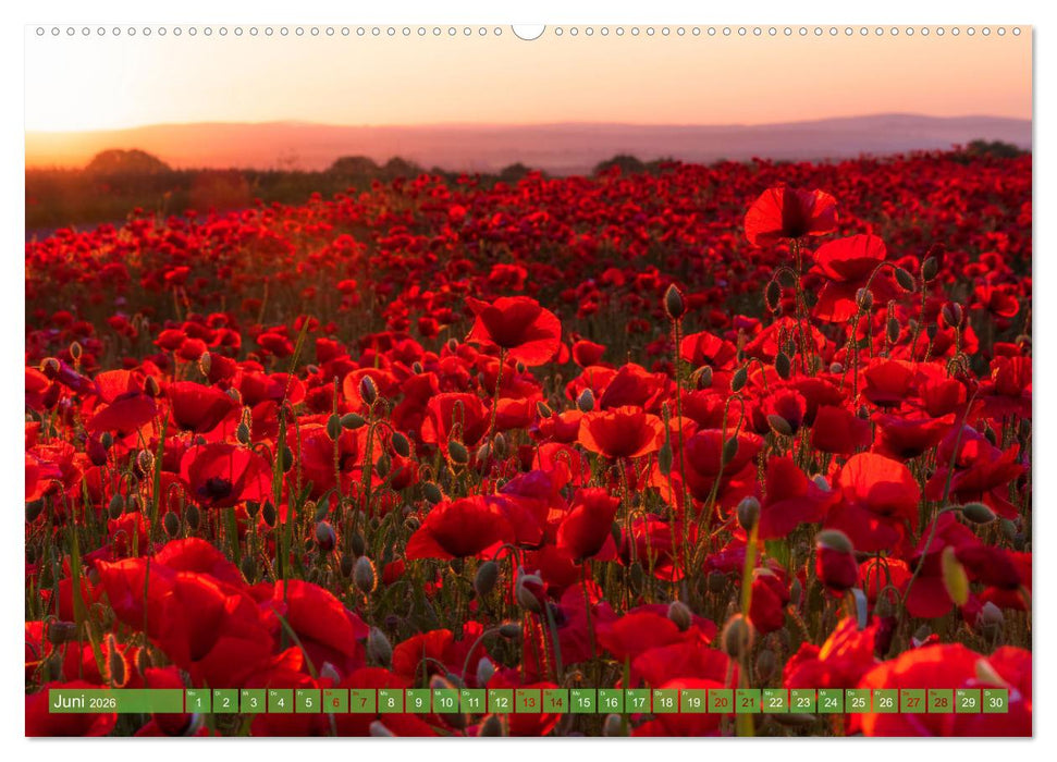 Stille Naturmomente (CALVENDO Wandkalender 2026)