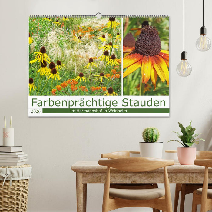 Farbenprächtige Stauden im Hermannshof in Weinheim (CALVENDO Wandkalender 2026)