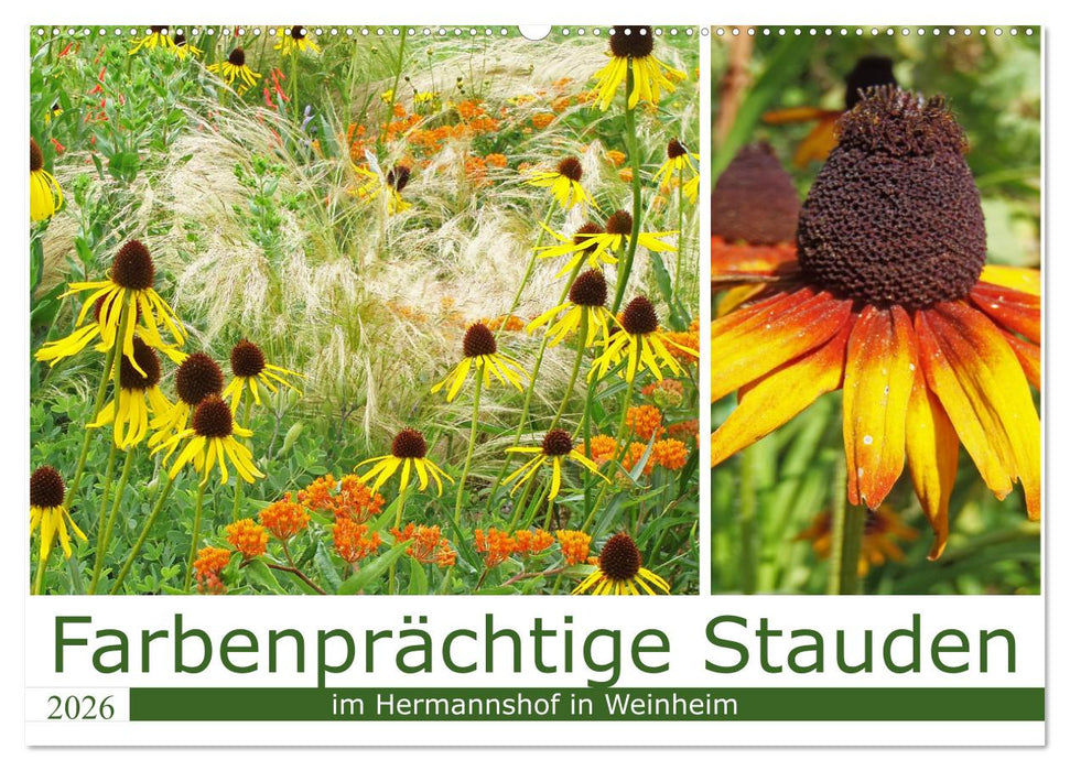 Farbenprächtige Stauden im Hermannshof in Weinheim (CALVENDO Wandkalender 2026)