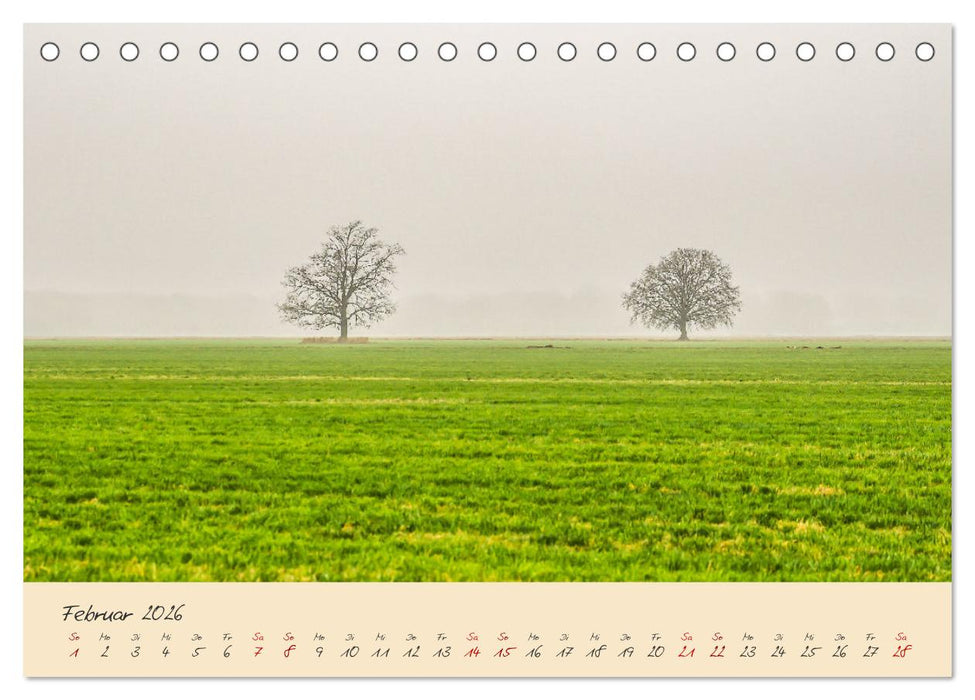 Friedländer Große Wiese (CALVENDO Wandkalender 2026)