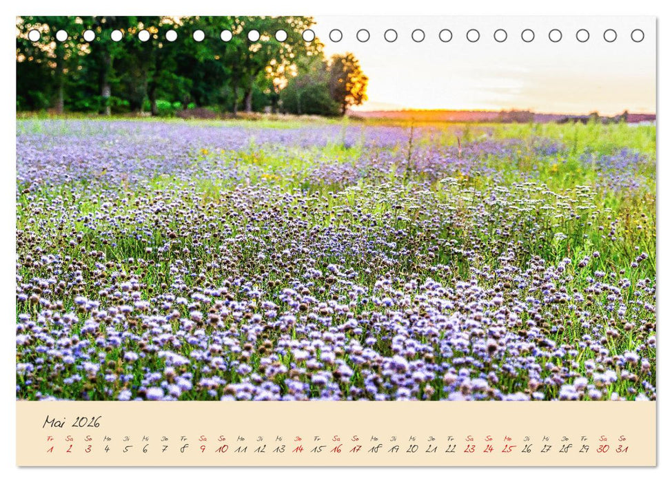 Friedländer Große Wiese (CALVENDO Wandkalender 2026)