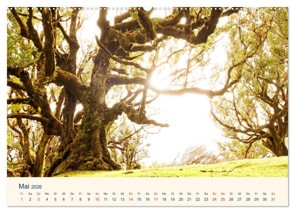 Hola Portugal und Spanien (CALVENDO Wandkalender 2026)