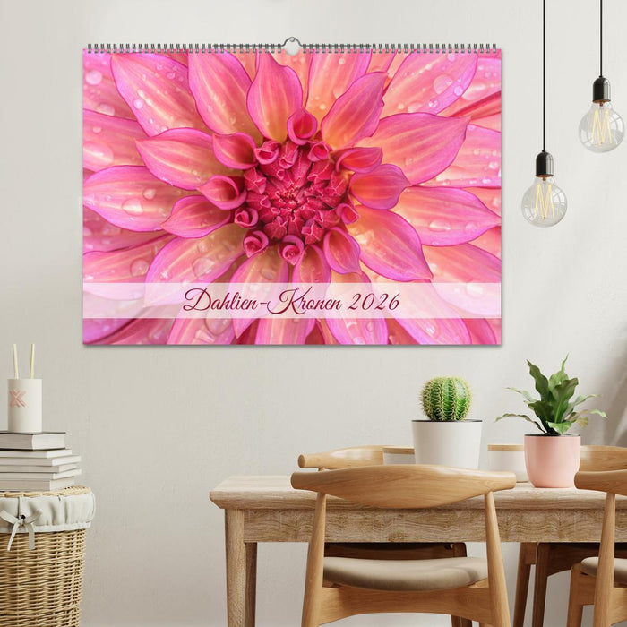 Dahlien-Kronen (CALVENDO Wandkalender 2026)