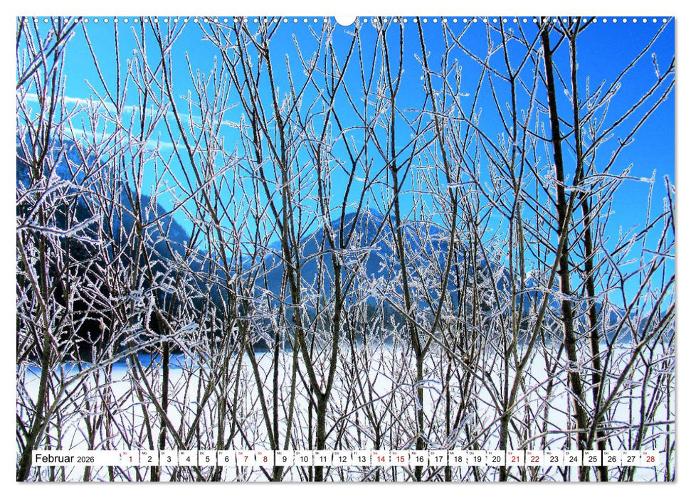 Das Graswangtal (CALVENDO Wandkalender 2026)