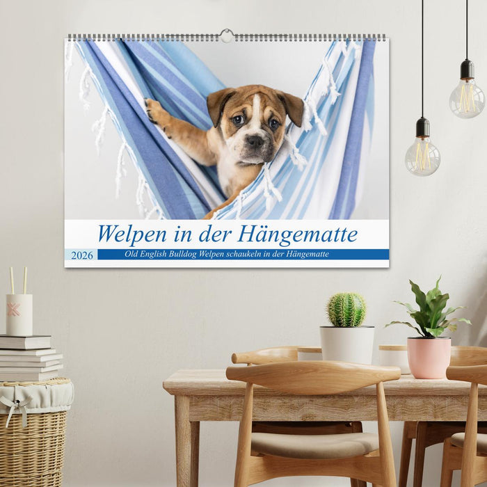 Welpen in der Hängematte (CALVENDO Wandkalender 2026)