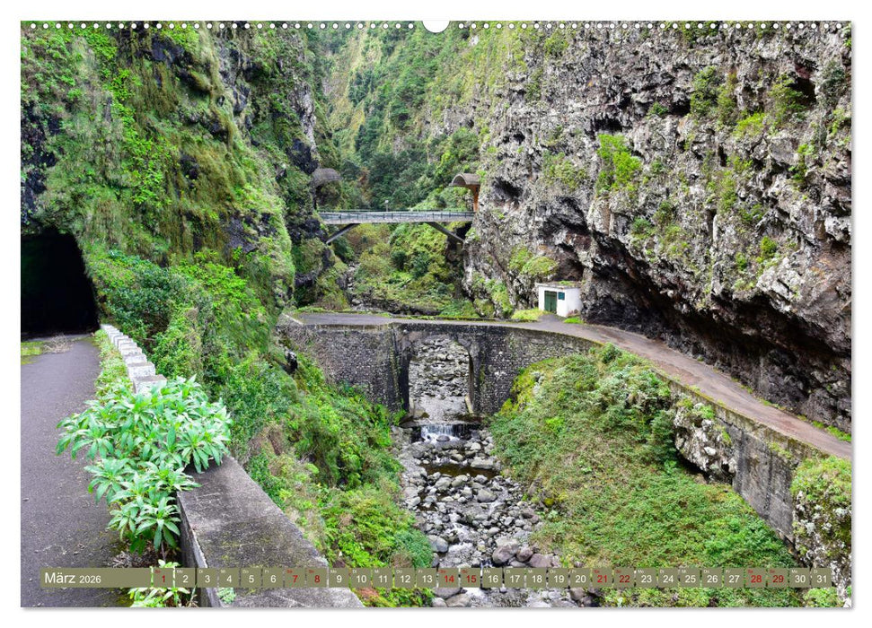 Erlebe mit mir Madeira (CALVENDO Wandkalender 2026)