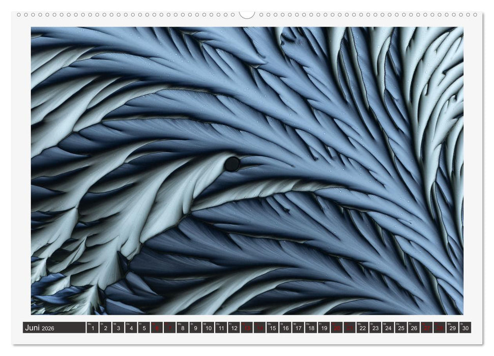 Farbenfrohe Mikrokristalle (CALVENDO Wandkalender 2026)