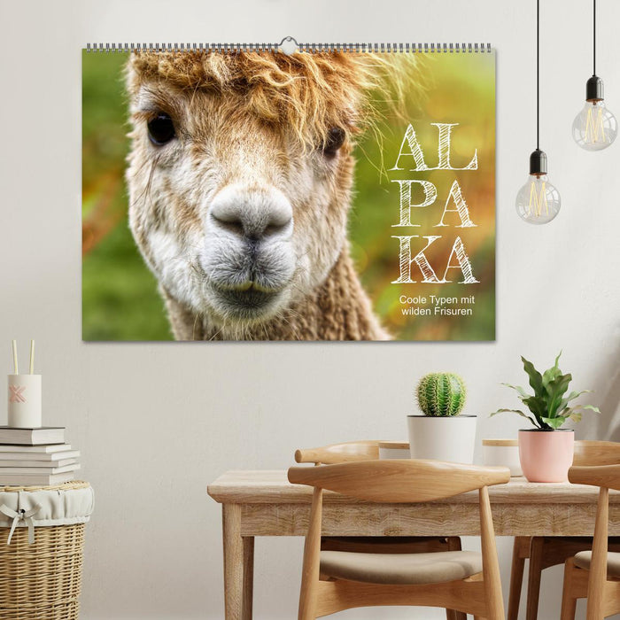 Alpaka, coole Typen mit wilden Frisuren (CALVENDO Wandkalender 2026)