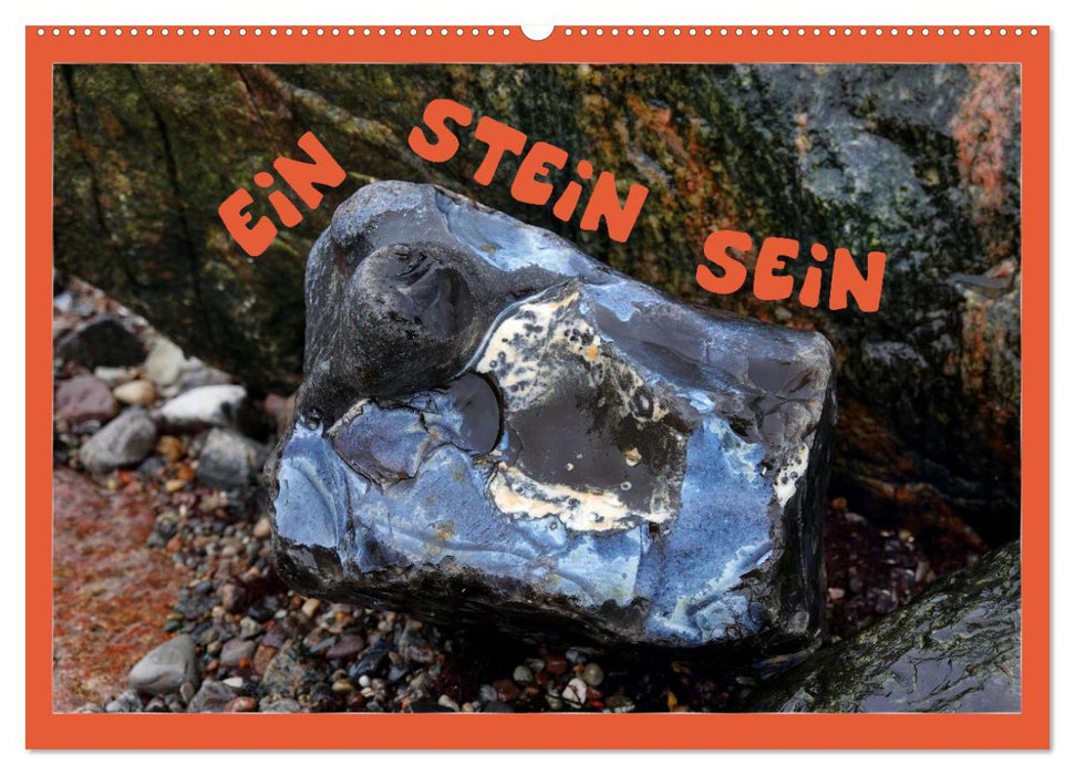 EIN STEIN SEIN (CALVENDO Wandkalender 2026)