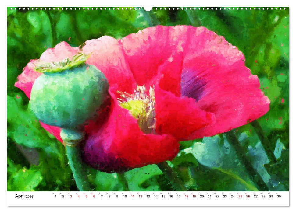 Bunte Mohnblumen - Impressionen der Mohnblüte in Acrylfarbe (CALVENDO Wandkalender 2026)