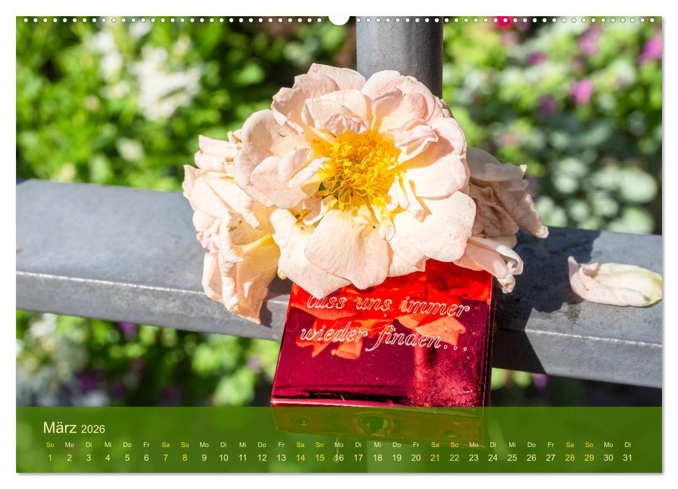 der staudengarten zu bad hersfeld (CALVENDO Wandkalender 2026)