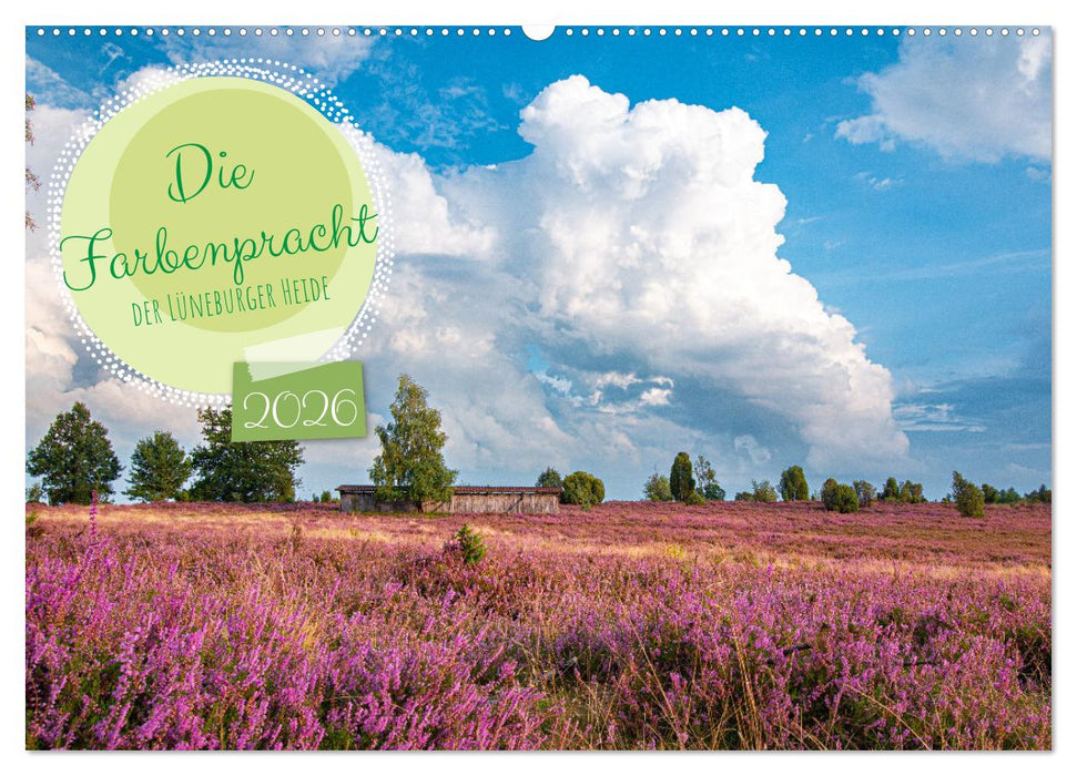 Die Farbenpracht der Lüneburger Heide (CALVENDO Wandkalender 2026)