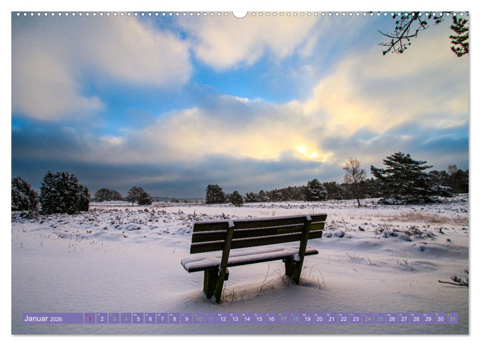 Die Farbenpracht der Lüneburger Heide (CALVENDO Wandkalender 2026)