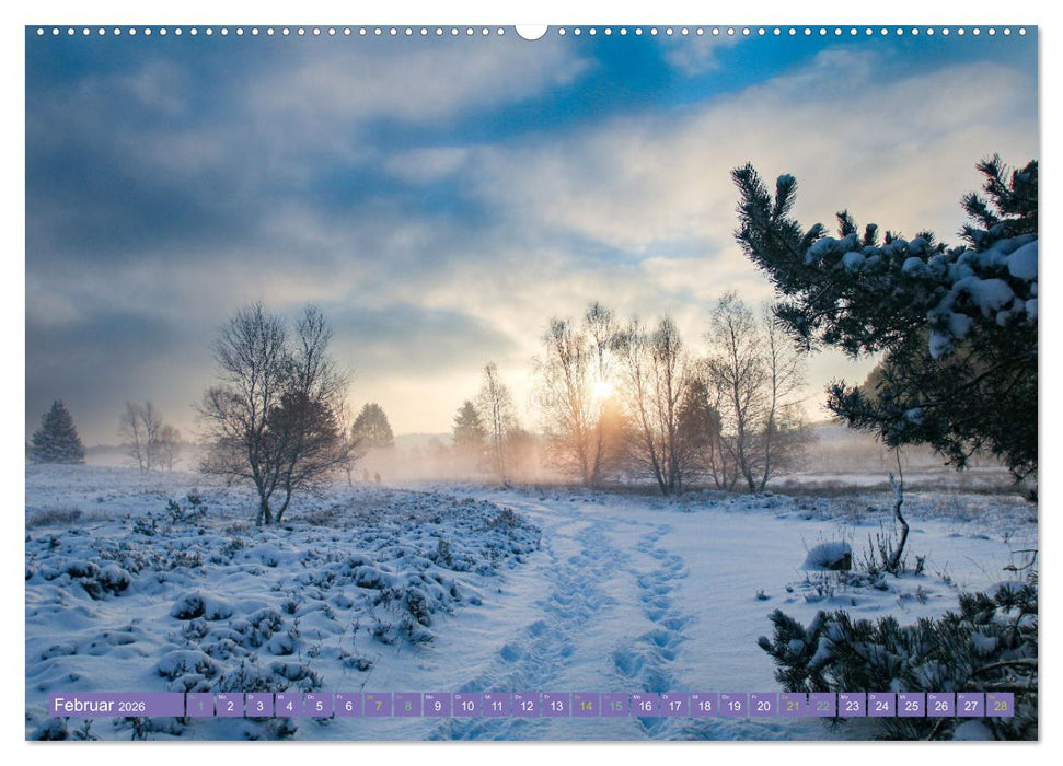 Die Farbenpracht der Lüneburger Heide (CALVENDO Wandkalender 2026)
