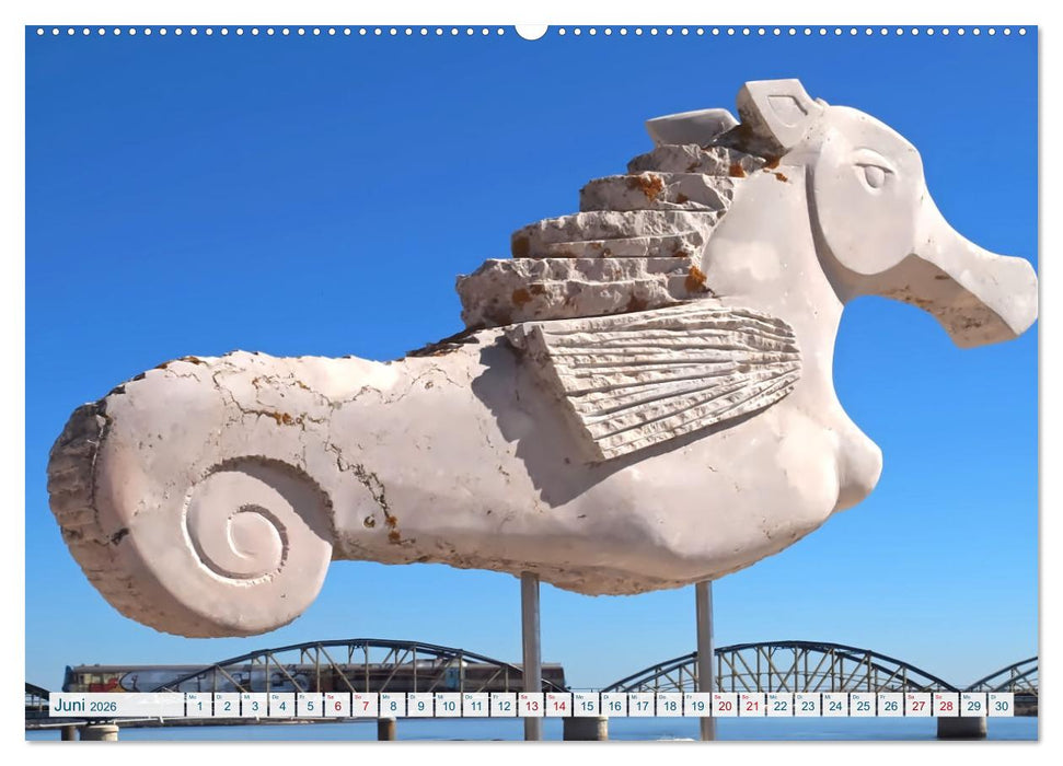 Algarve verliebt (CALVENDO Wandkalender 2026)