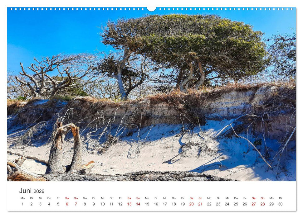 Mosambik - Das einzigartige Land am Indischen Ozean. (CALVENDO Wandkalender 2026)