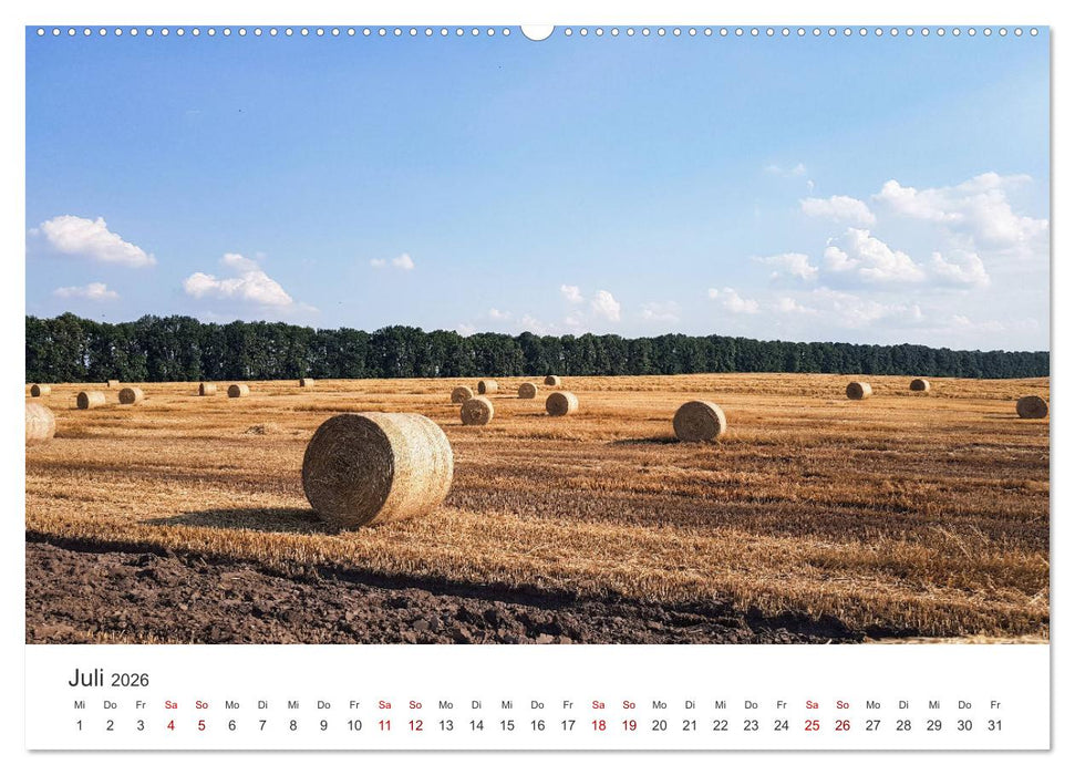 Ukraine - Ein faszinierendes Land. (CALVENDO Premium Wandkalender 2026)