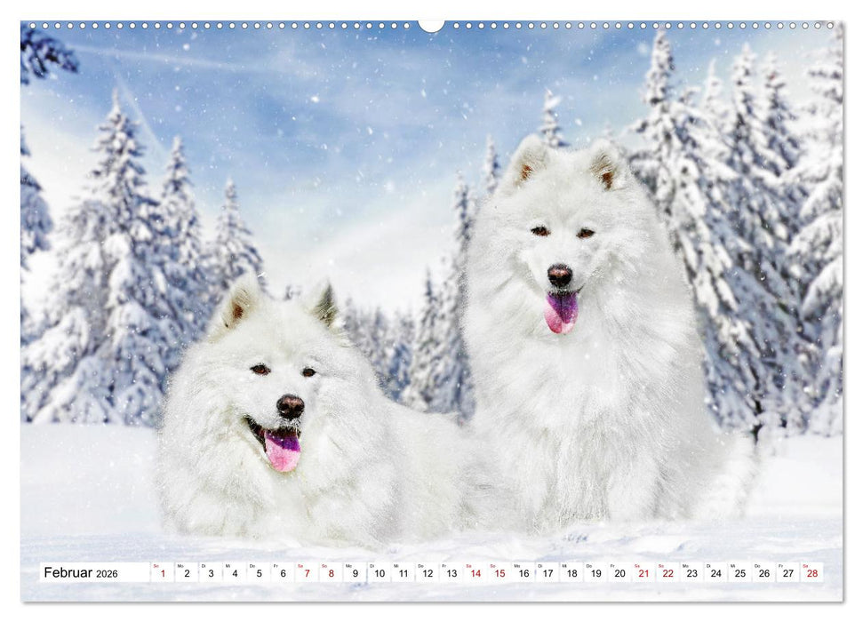 Ohne Hund ist alles nichts - Mit unseren besten Freunden durch das Jahr (CALVENDO Wandkalender 2026)
