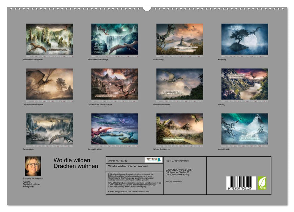 Wo die wilden Drachen wohnen (CALVENDO Wandkalender 2026)