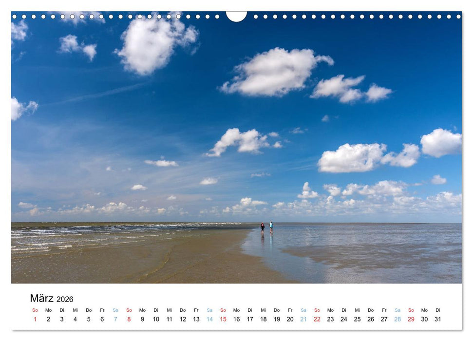Büsum - Urlaub an der Nordsee (CALVENDO Wandkalender 2026)