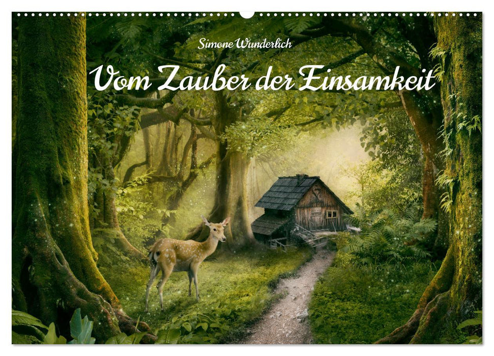 Vom Zauber der Einsamkeit (CALVENDO Wandkalender 2026)
