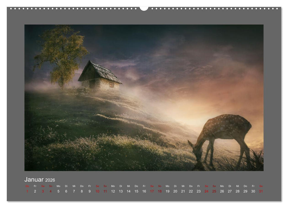 Vom Zauber der Einsamkeit (CALVENDO Wandkalender 2026)