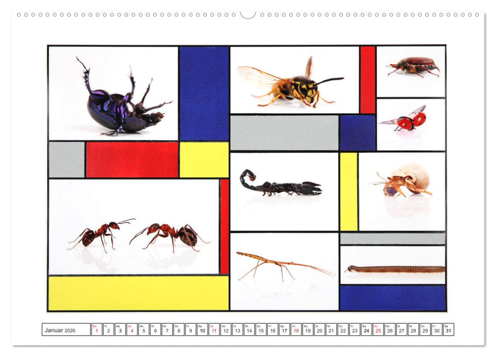 Fotos Farbe Fantasie. (CALVENDO Wandkalender 2026)