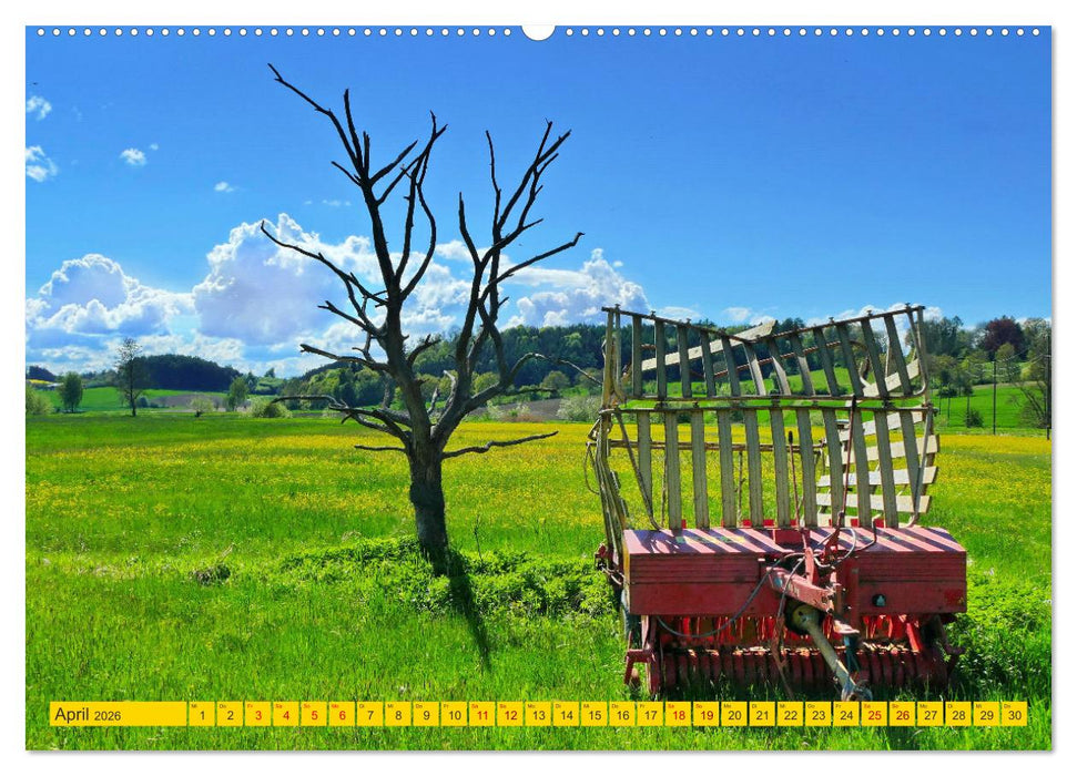 Die Stauden, magische Landschaft rund um Augsburg (CALVENDO Wandkalender 2026)