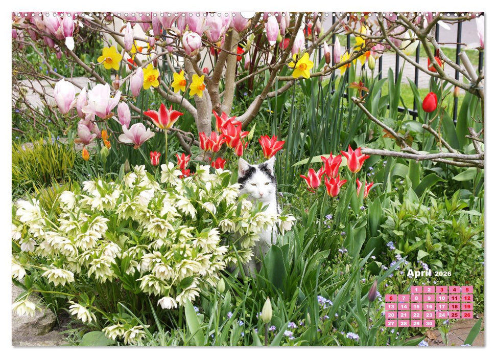 Urlaub im Garten (CALVENDO Wandkalender 2026)