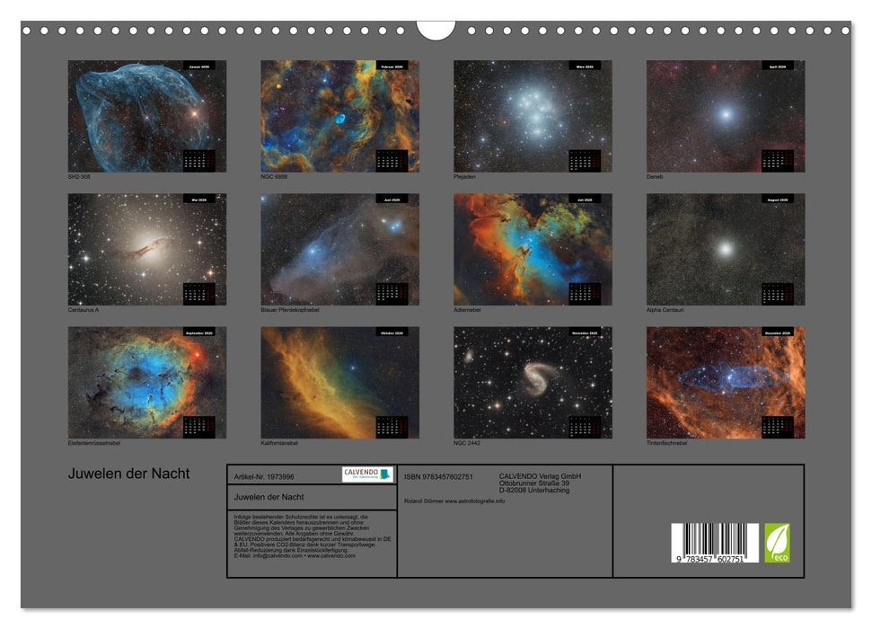 Juwelen der Nacht (CALVENDO Wandkalender 2026)