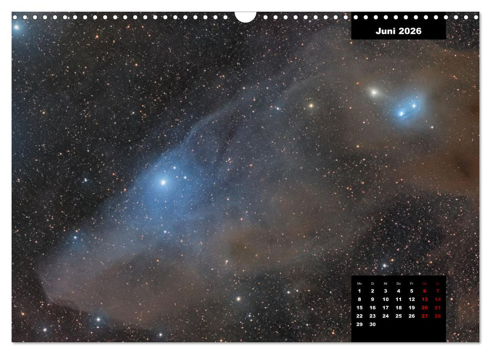 Juwelen der Nacht (CALVENDO Wandkalender 2026)