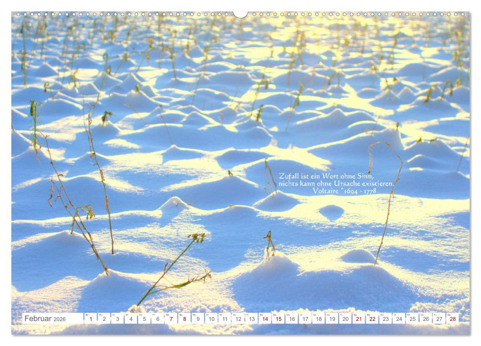 Über den Zufall - Nachdenk-Kalender (CALVENDO Wandkalender 2026)