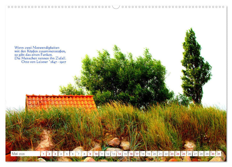 Über den Zufall - Nachdenk-Kalender (CALVENDO Wandkalender 2026)