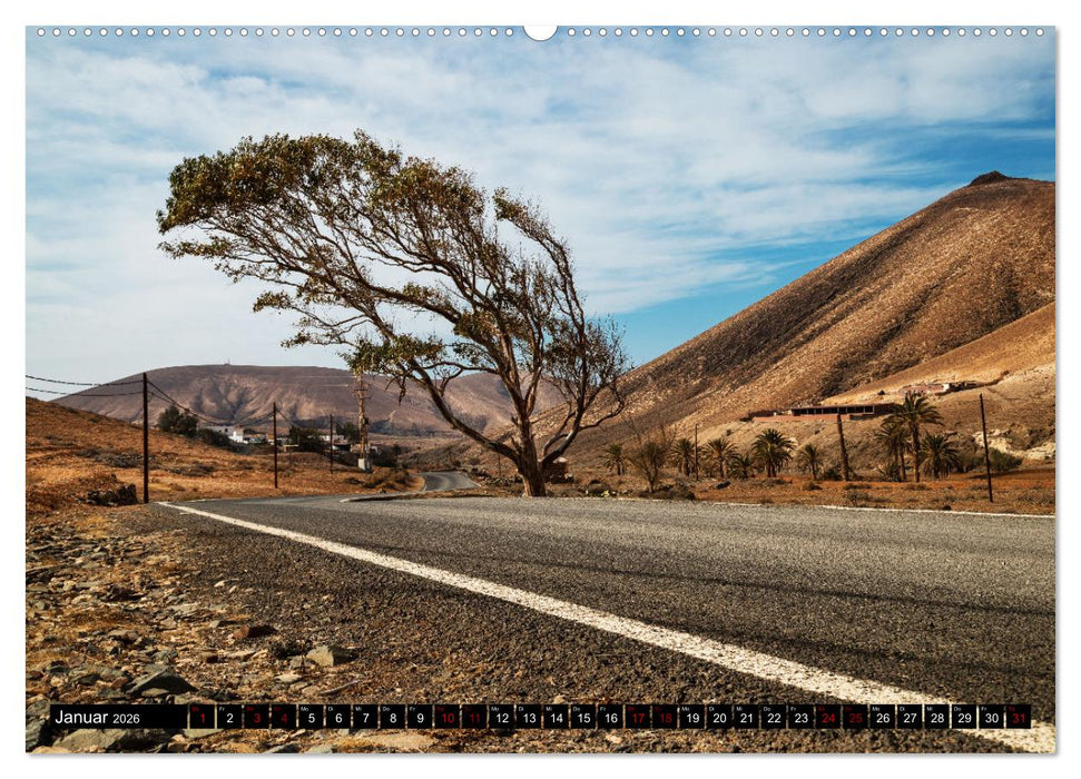 Fuerteventura - Eine Reise über die Vulkaninsel (CALVENDO Wandkalender 2026)