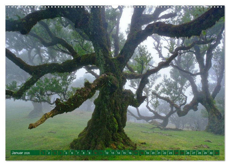 Madeira und Porto Santo (CALVENDO Wandkalender 2026)