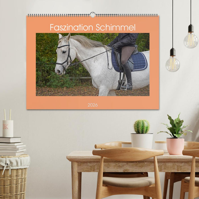 Faszination Schimmel (CALVENDO Wandkalender 2026)