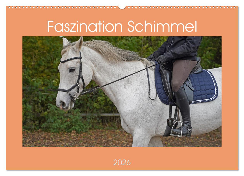 Faszination Schimmel (CALVENDO Wandkalender 2026)