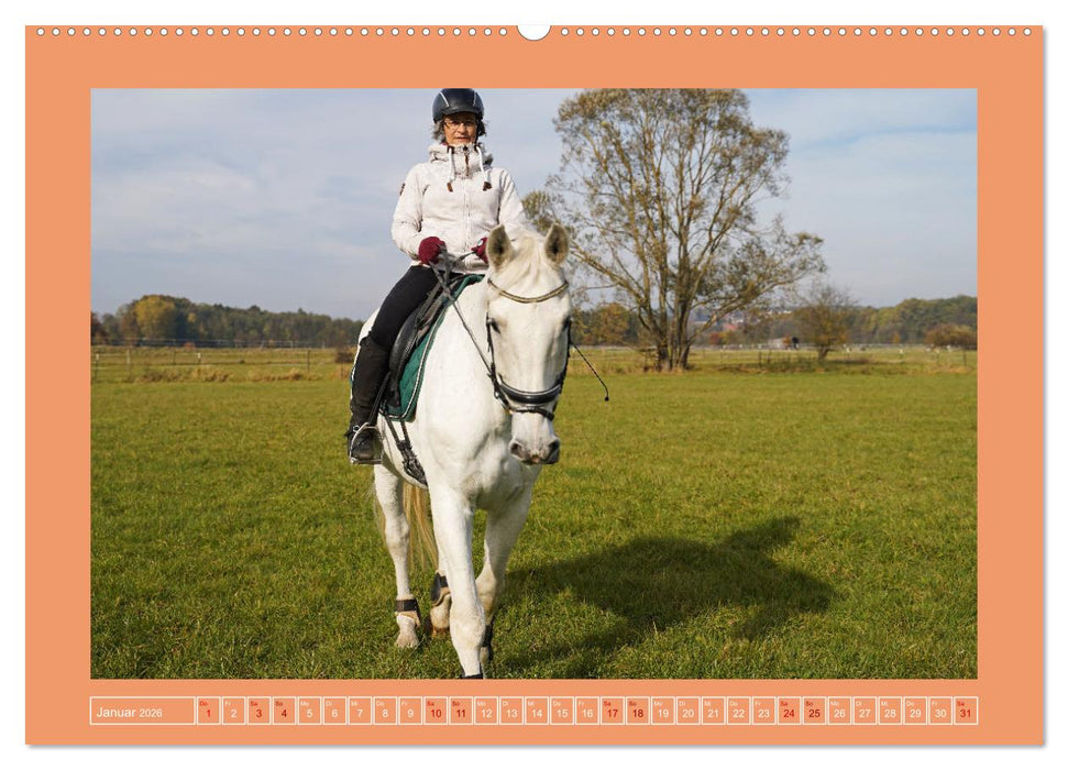 Faszination Schimmel (CALVENDO Wandkalender 2026)