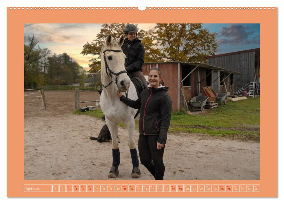 Faszination Schimmel (CALVENDO Wandkalender 2026)