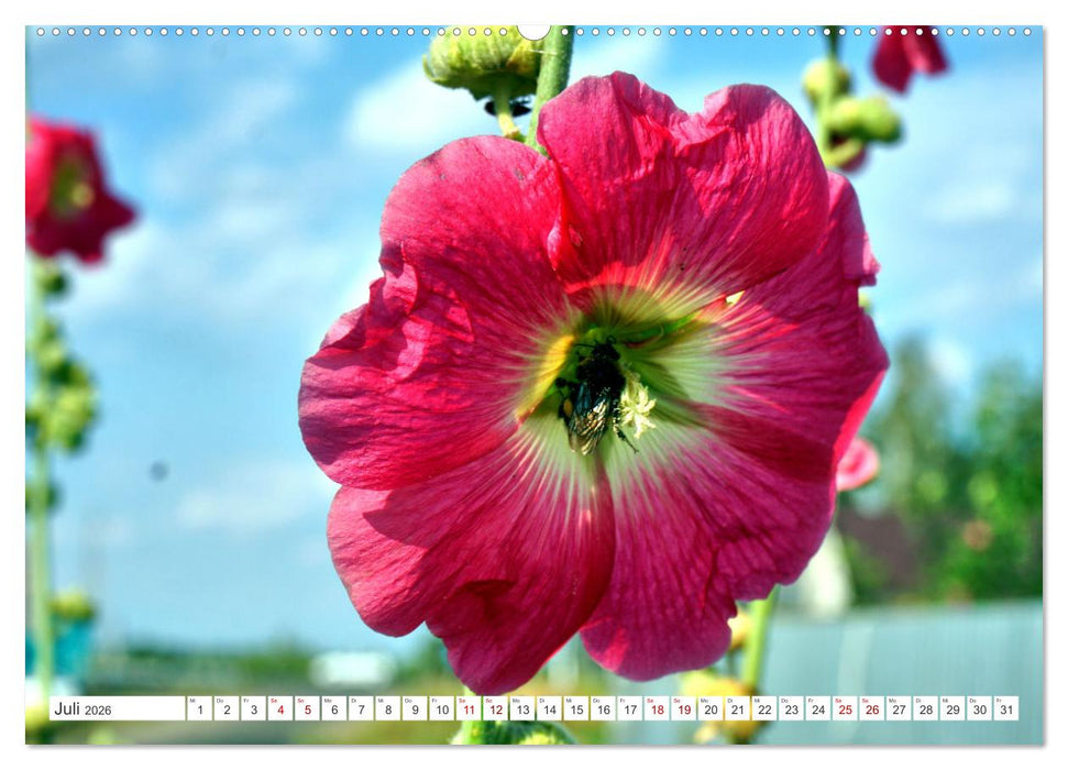 Dorfidylle - Landleben in Russland (CALVENDO Premium Wandkalender 2026)