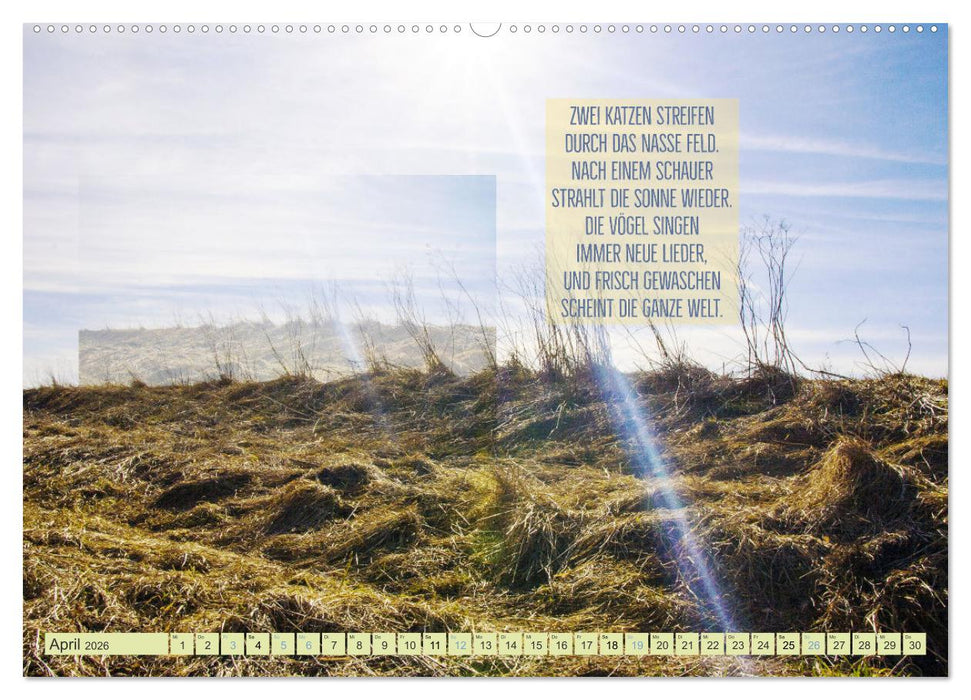 Stimmungsreigen Gefühlvolle Texte und Bilder (CALVENDO Wandkalender 2026)