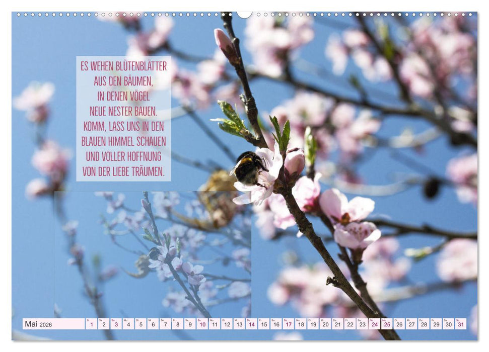 Stimmungsreigen Gefühlvolle Texte und Bilder (CALVENDO Wandkalender 2026)